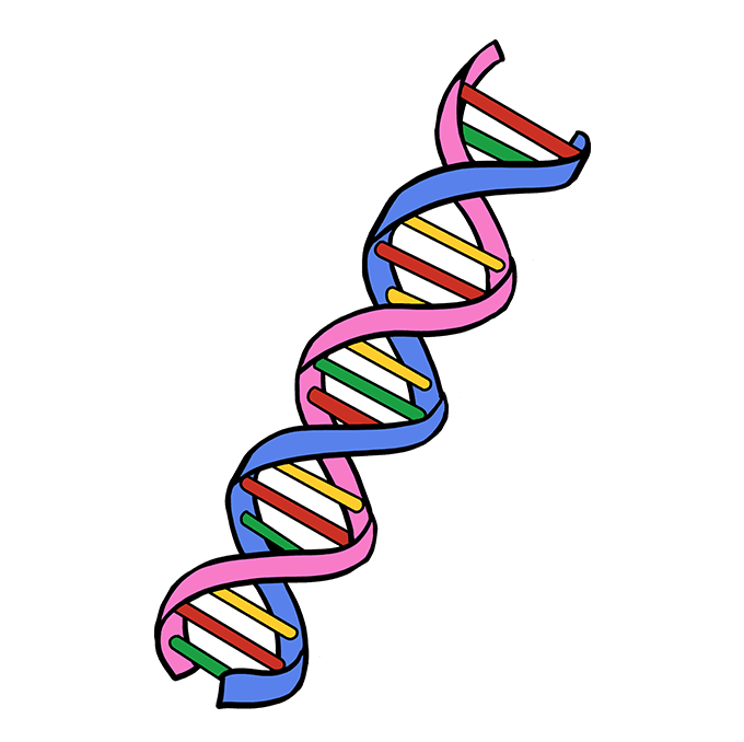 Hyperhidrosis appears to have genetic origins. 
