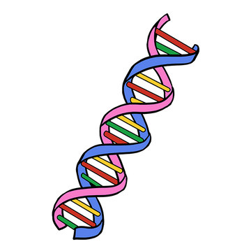 Hyperhidrosis appears to have genetic origins. 