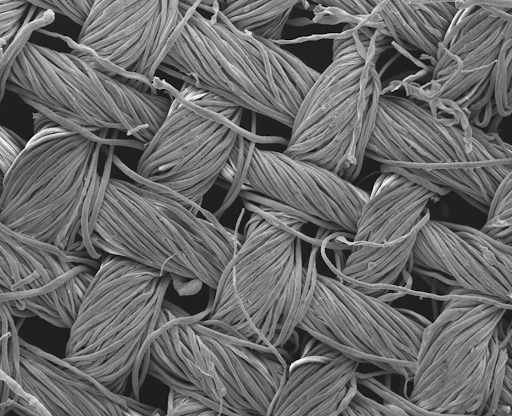 How Moisture-Wicking Fabrics Work Under the Microscope